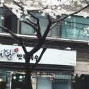 하서랑만두국수