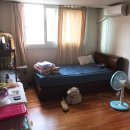 도봉-도봉-서울도봉-2199 이미지