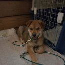 해마농장 이미지