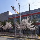 탕정미래초등학교 이미지