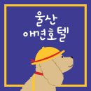 바나고펫살롱 이미지