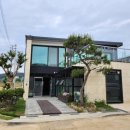 비채35