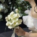 케이소노 | d21. 부산 드레스샵 더리움 웨딩 로브드K 드레스 소노캄 거제 본식 당일 후기