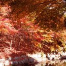 한천자연휴양림 이미지