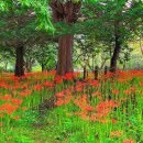 조각공원공중화장실2 이미지