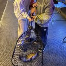 해적왕실내낚시카페 | 해적왕 실내낚시 카페, 아이와 가볼 만한 곳, 실내데이트(내돈내산)