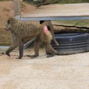 희망분수 이미지