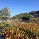 갈마목장 이미지