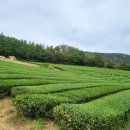 신세계농장(1) 이미지