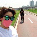 벨로픽스 이미지