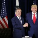 미미글로벌