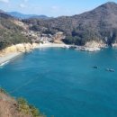 여울애견 이미지