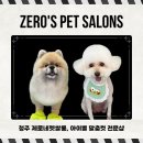 청주 애견미용 추천! 피부·피모까지 관리해 주는 제로네펫쌀롱
