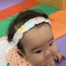 My Gym(마이짐) 이미지