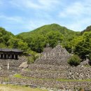 하동편백자연휴양림 이미지