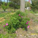 준 농장 이미지