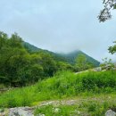 인제07 | [인제여행] 인제 갯골휴양림 오토캠핑장 A-07자리 솔캠 후기