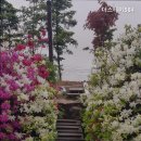 더 스테이584 이미지