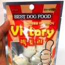 빅토리애견 이미지