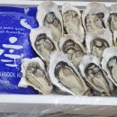 11500-22-25-22 네이버블로그