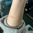 라원세탁소 이미지