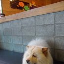 마오네(1호점) 이미지