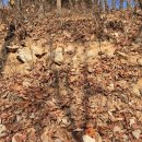 목령산성 이미지