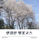자연고시식당 | 인천 벚꽃 명소 문학산 연경산 후기｜학익동 등산코스 가족 나들이 추천 (주차, 난이도)