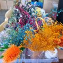 선거웰빙 영농조합법인 이미지