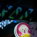 덕비네수제간식 | 청주 강아지 수제간식 봉명동 덕비네 추천