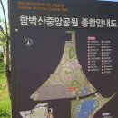 호수공원,중앙공원 이미지