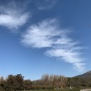 사회적기업 푸른하늘 이미지