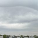 심기보농장 | 봄 텃밭 호박·옥수수 파종 후기｜발아율 차이와 모종 준비 과정