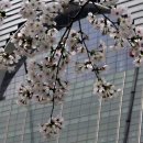 호수언저리 이미지