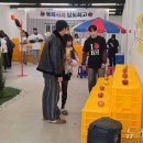 봉화박스