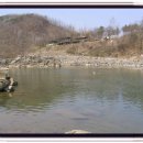 용바위 농원 Daum카페