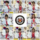 비호태권도장 이미지