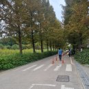 인천대공원 야영장 이미지