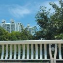 미스터트롯3 공식 카페에 응원글 남겼어요! 이미지