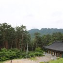 진신농장 이미지