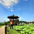 영덕07 Daum카페