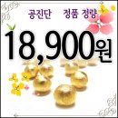 만제한의원 | 공진단효능 웅담 으로 뇌졸중 예방해요!