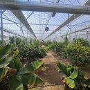 대방농장 이미지