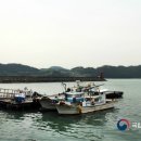 강진9호 이미지