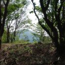 서동골농장 이미지