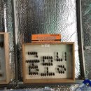 포항곤충농장 이미지