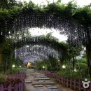 상록공원 게이트볼장 이미지