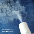 쌍용명품세탁 | 400만원 스웨이드 소파 강아지가 토하고 오줌을..청소세탁이 될까요?강남 쌍용플레티넘밸류