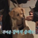 쎄븐게임랜드 이미지