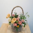 홍성화원 이미지